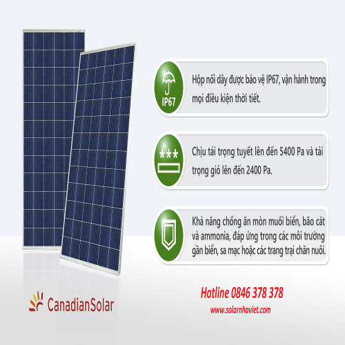 Pin mặt trời Canadian Poly 325wp, Pin mặt trời Poly 325wp